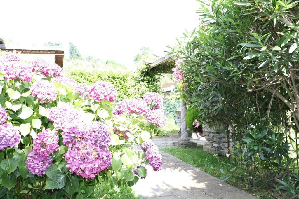 immagine annuncio 7 di 8