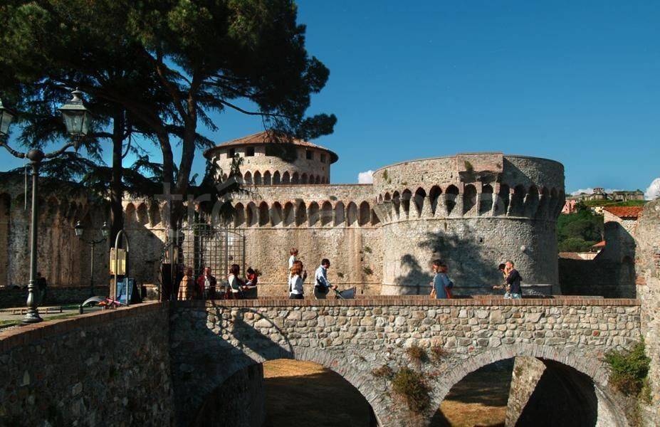immagine annuncio 10 di 15