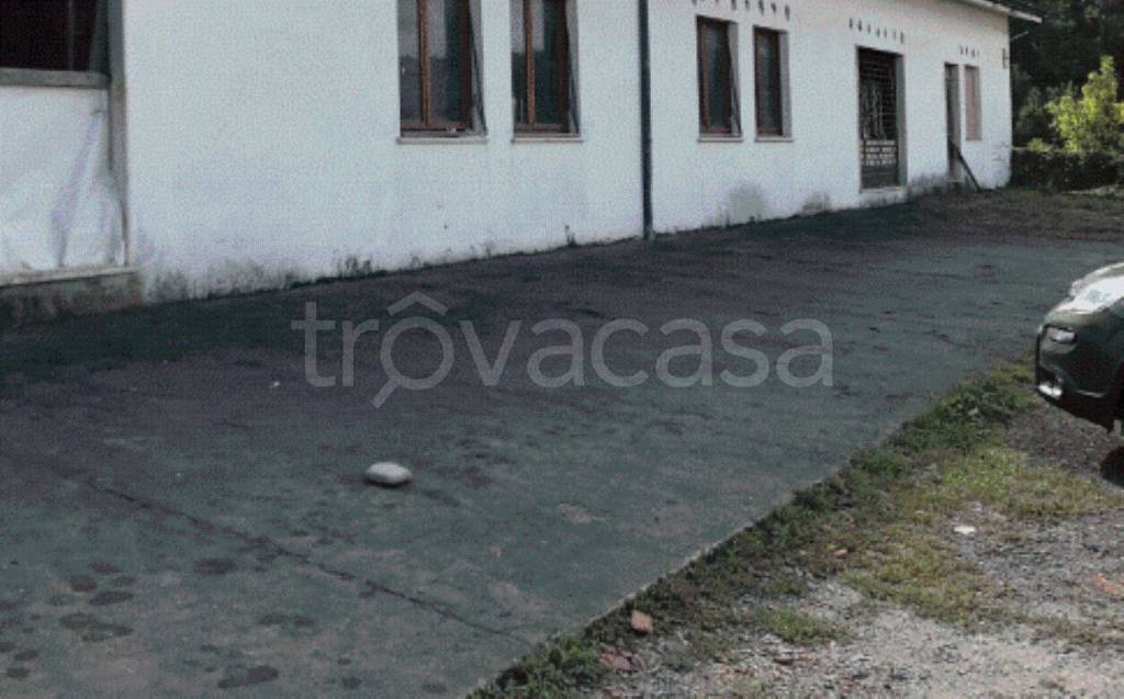 immagine annuncio 5 di 8
