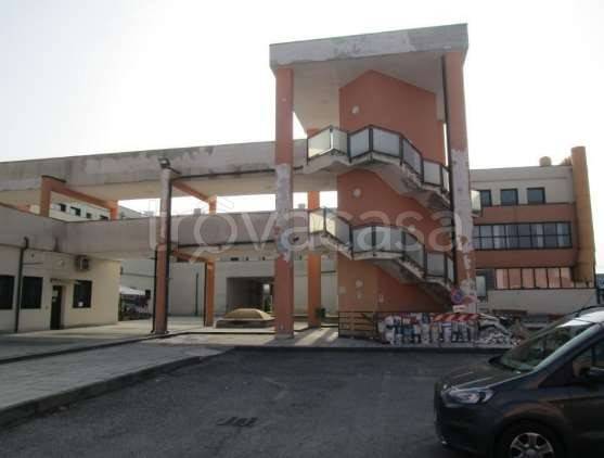 immagine annuncio 2 di 8