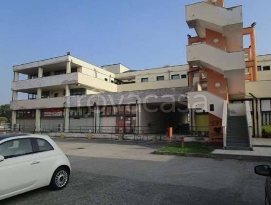 immagine annuncio 3 di 8