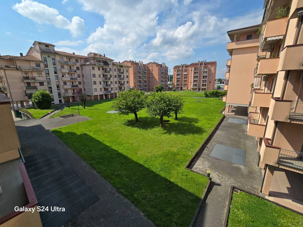 immagine annuncio 9 di 15