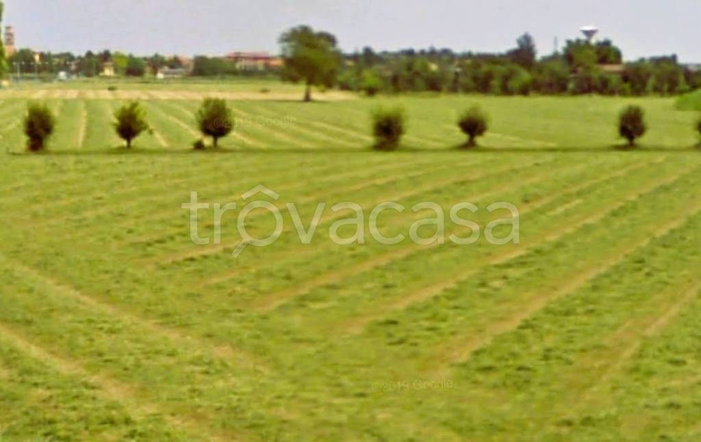immagine annuncio 5 di 8