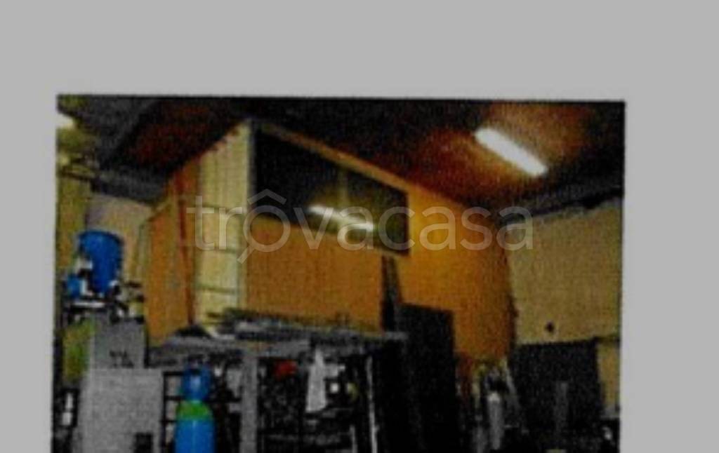 immagine annuncio 6 di 14