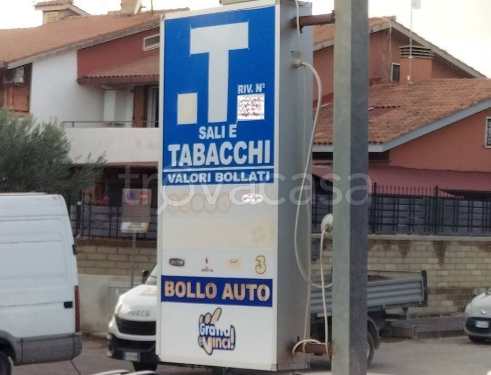 immagine annuncio 4 di 6