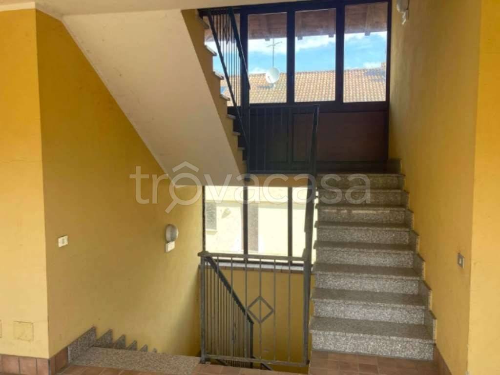immagine annuncio 8 di 13