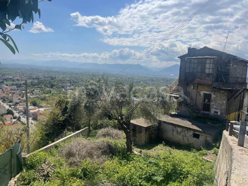 immagine annuncio 1 di 7