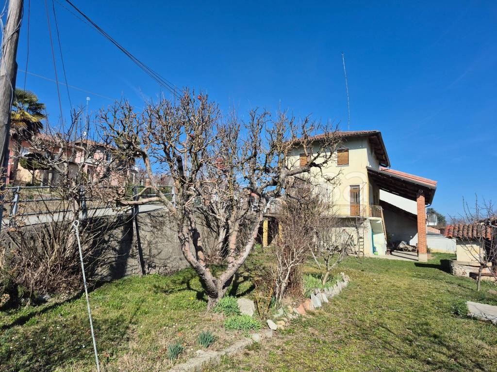 immagine annuncio 5 di 15