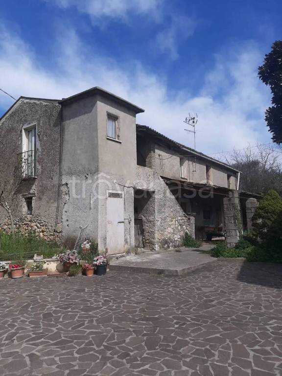 immagine annuncio 2 di 13