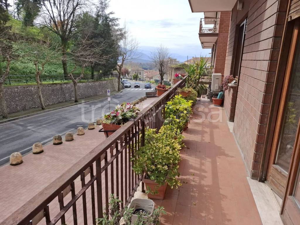 immagine annuncio 10 di 14