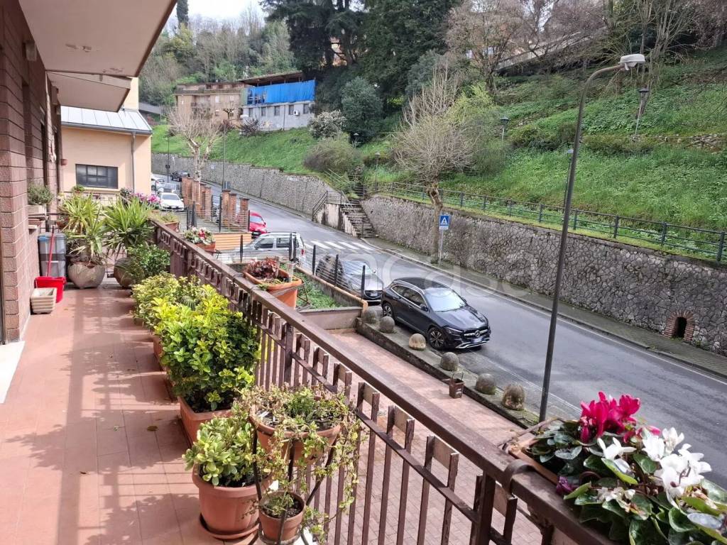 immagine annuncio 11 di 14