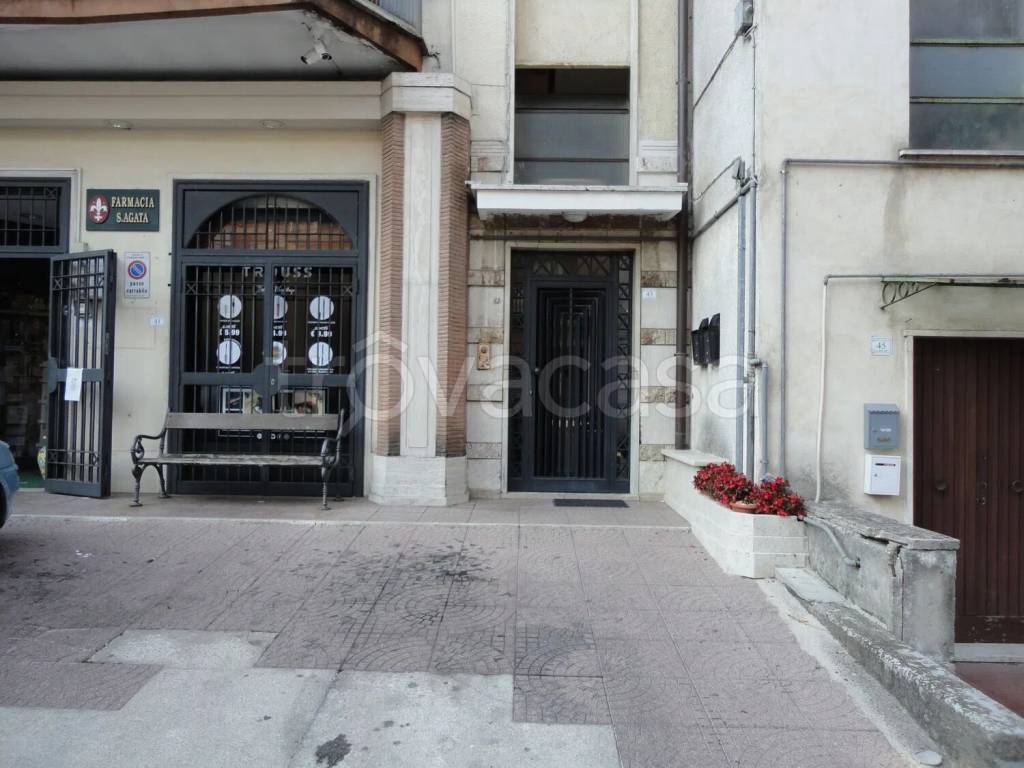 immagine annuncio 2 di 7