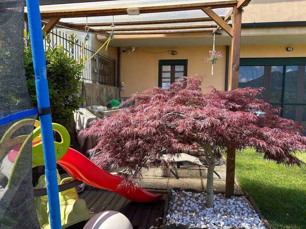 immagine annuncio 10 di 15