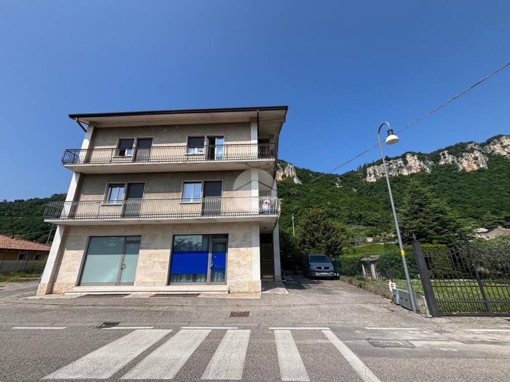 immagine annuncio 11 di 14