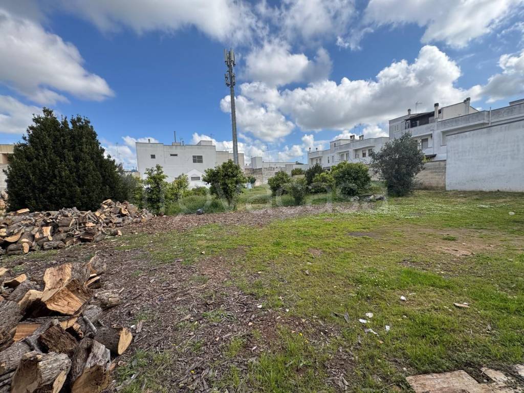 immagine annuncio 2 di 6