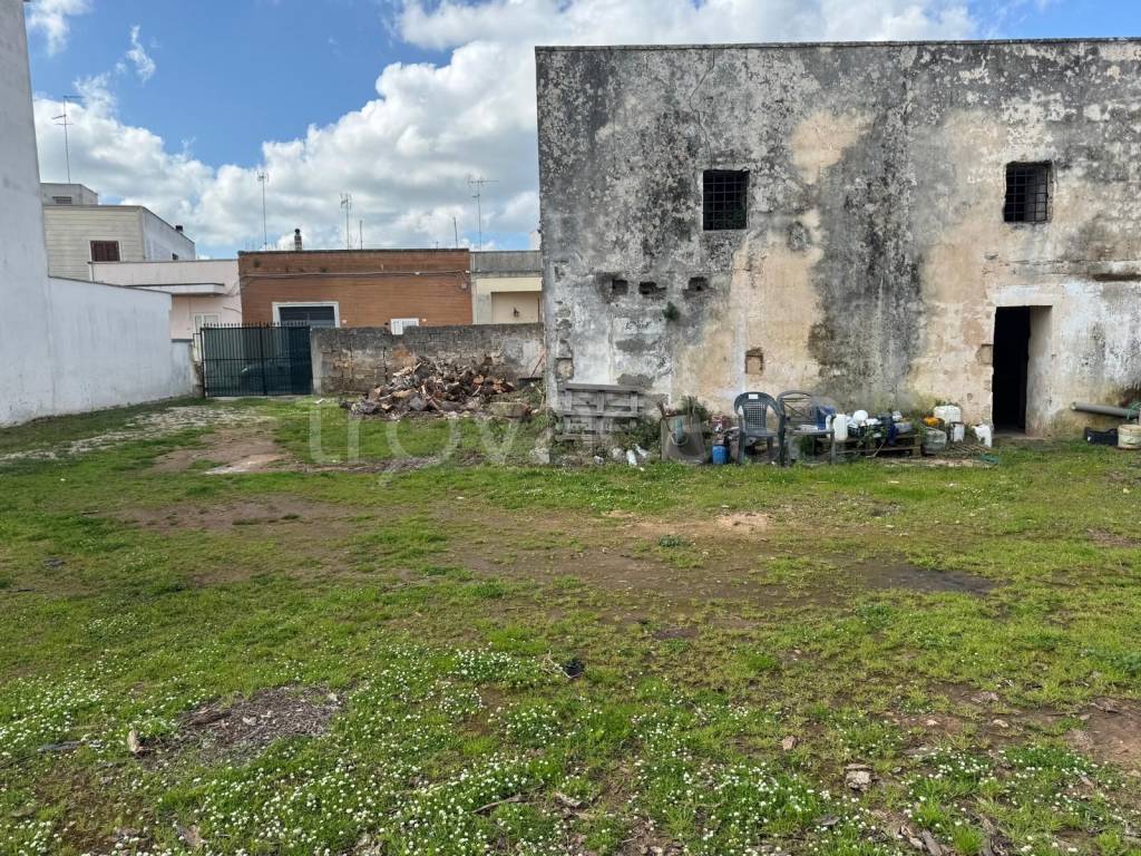 immagine annuncio 3 di 6