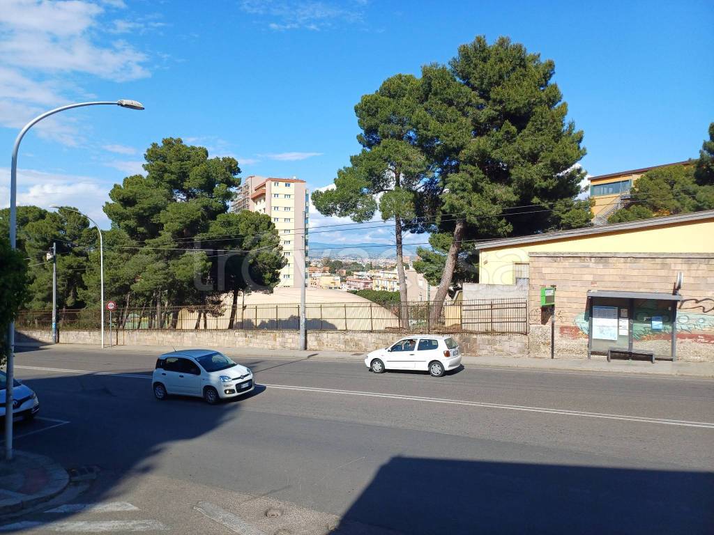 immagine annuncio 9 di 13