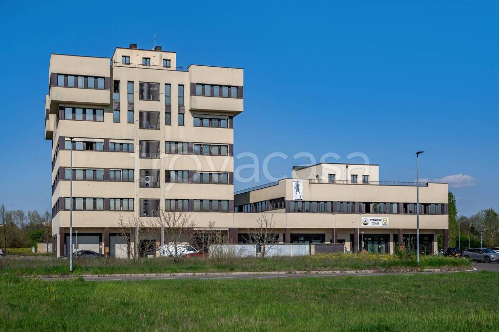 immagine annuncio 12 di 15