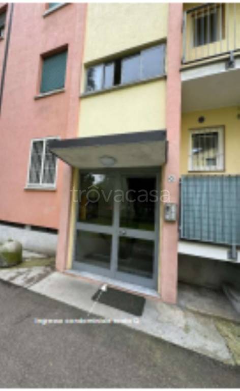 immagine annuncio 2 di 11
