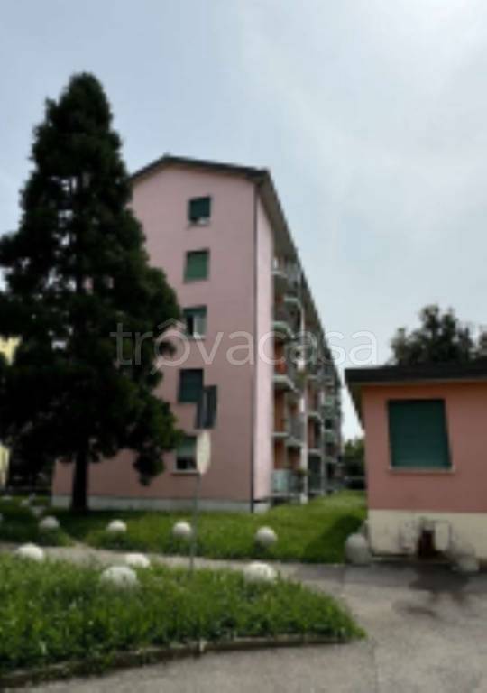 immagine annuncio 4 di 11