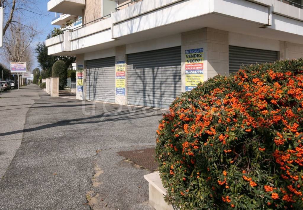 immagine annuncio 1 di 4