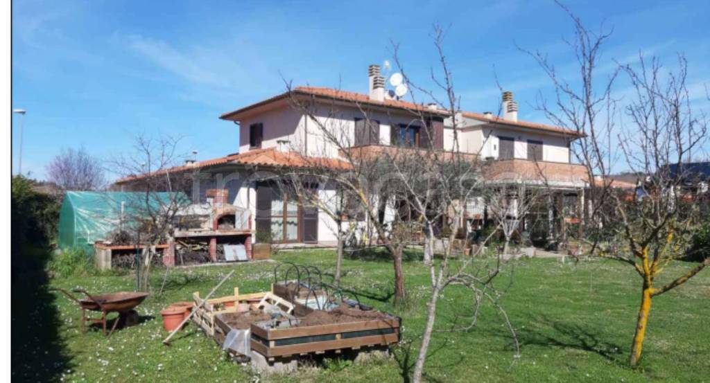 immagine annuncio 1 di 12