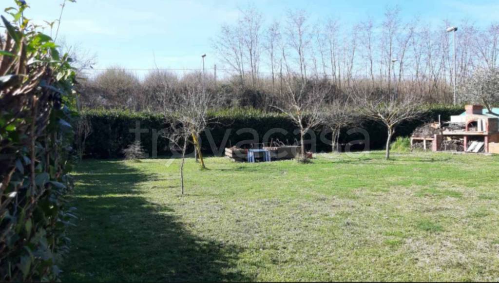 immagine annuncio 2 di 12