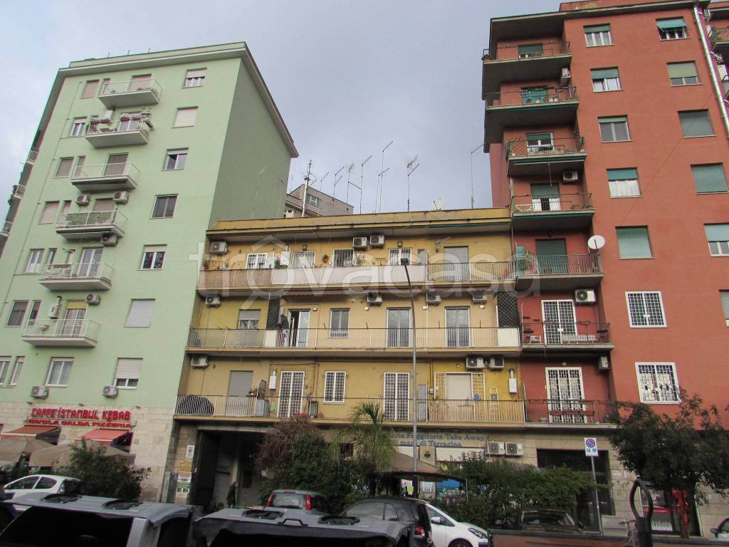 immagine annuncio 12 di 13