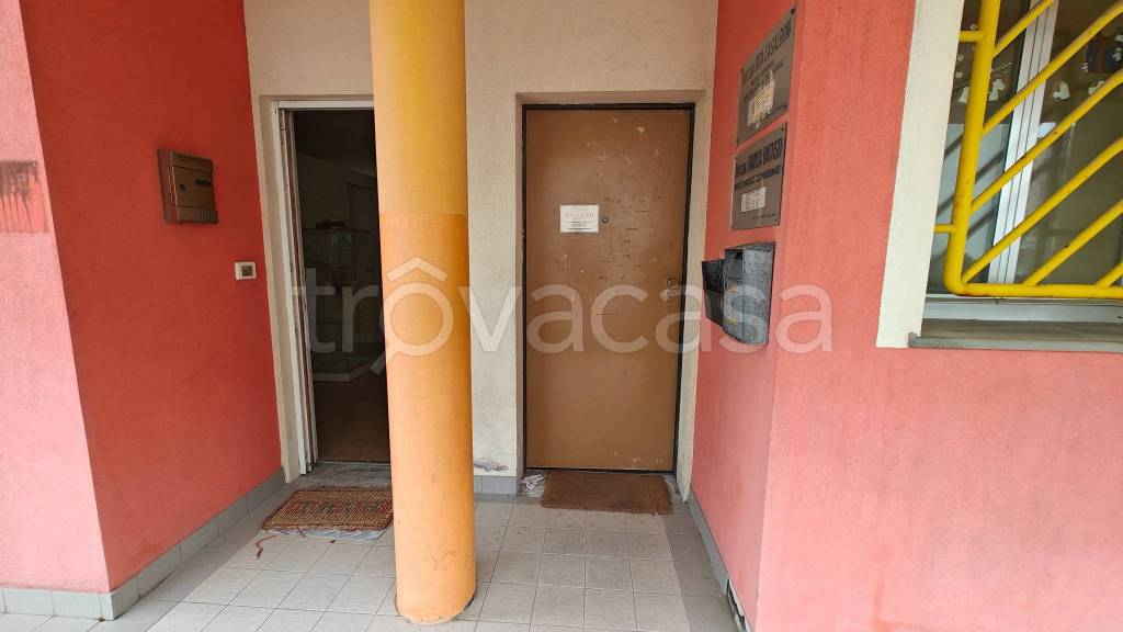 immagine annuncio 1 di 13