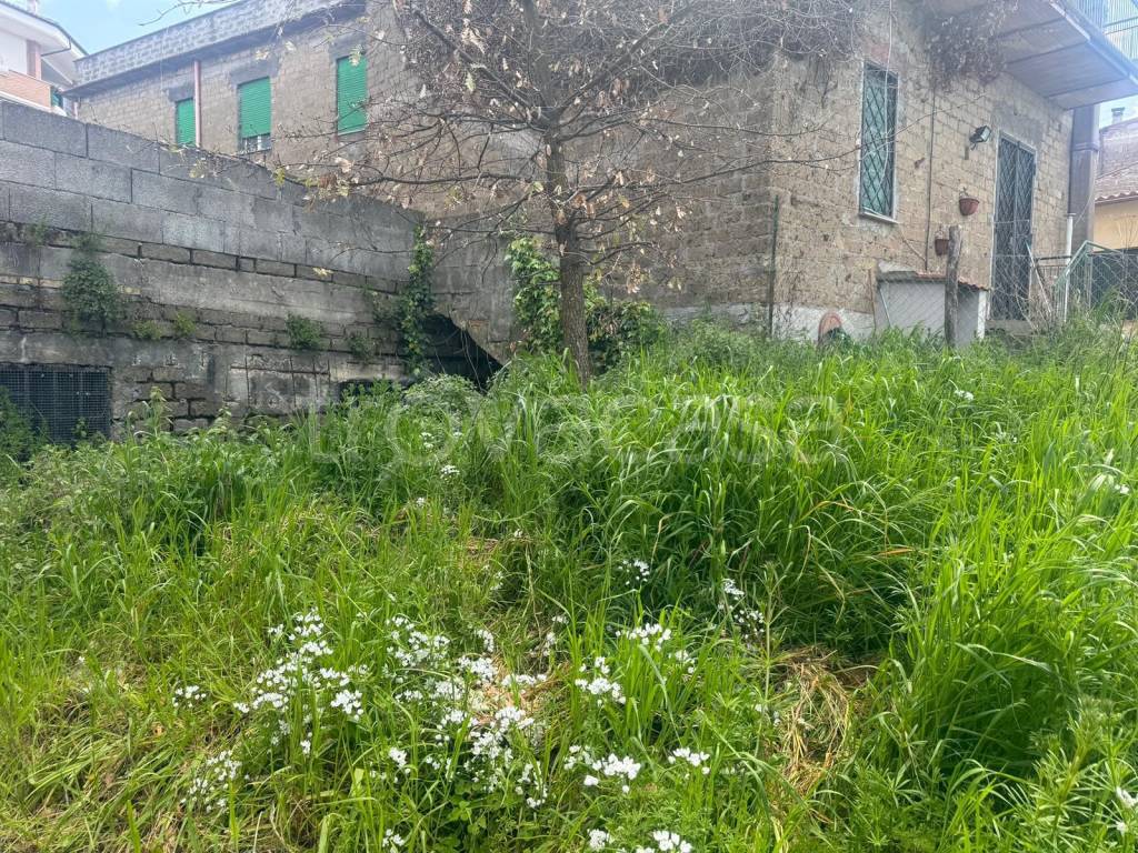 immagine annuncio 5 di 6