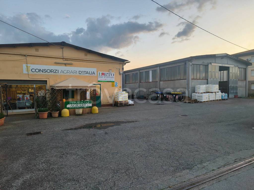 immagine annuncio 11 di 15