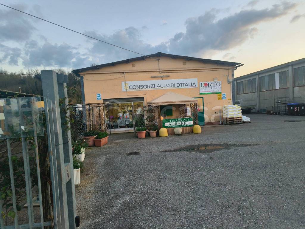 immagine annuncio 12 di 15
