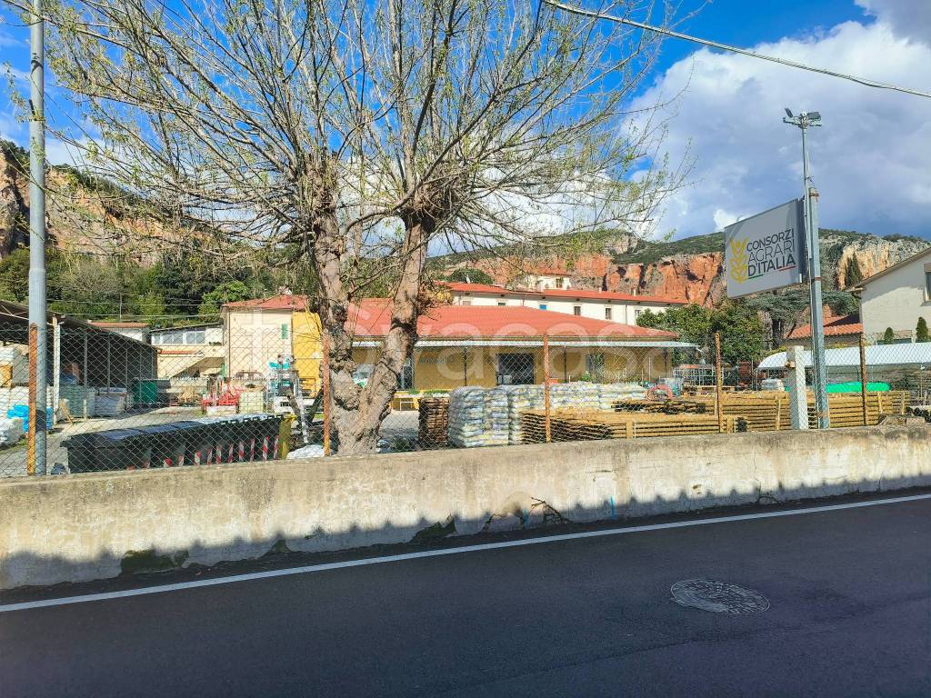 immagine annuncio 2 di 8