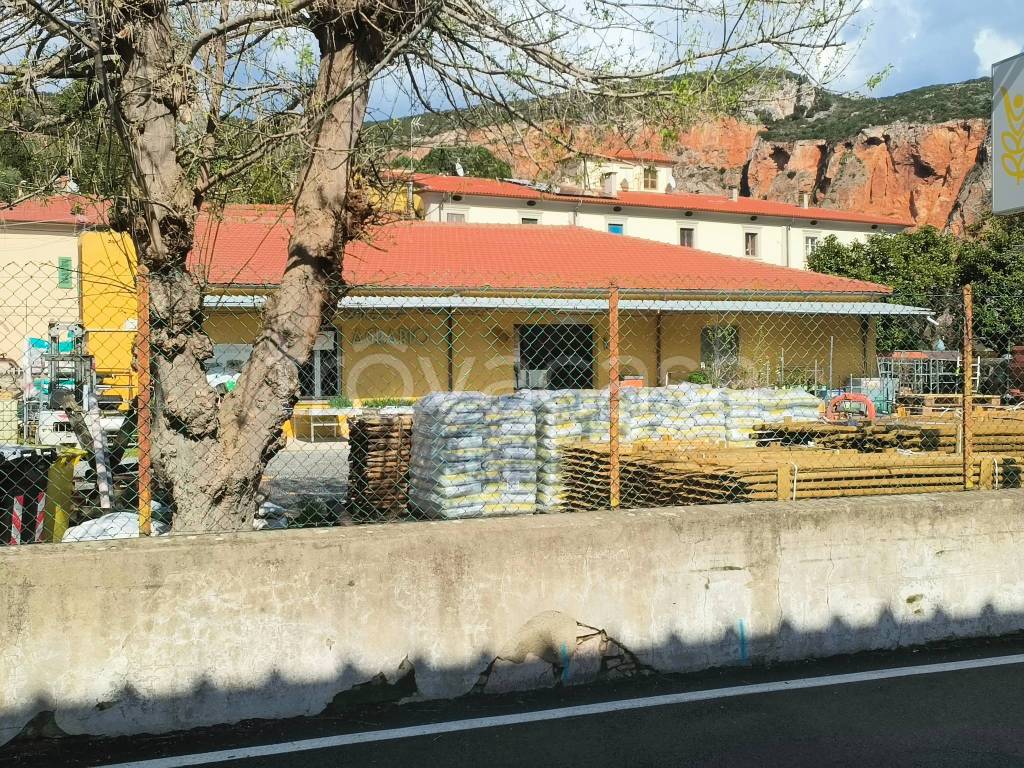 immagine annuncio 3 di 8