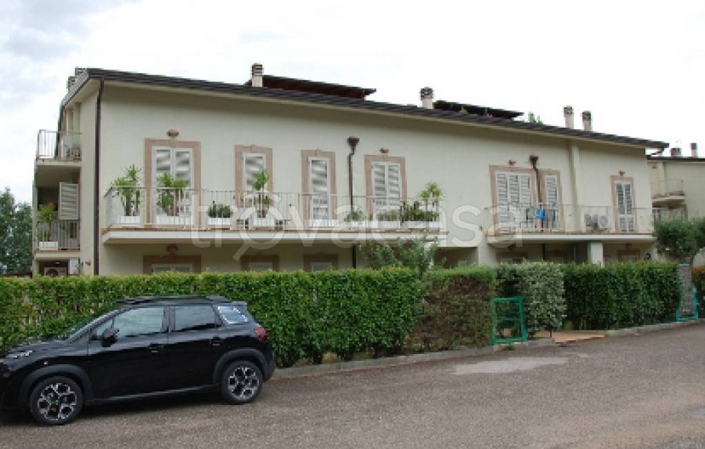 immagine annuncio 1 di 12