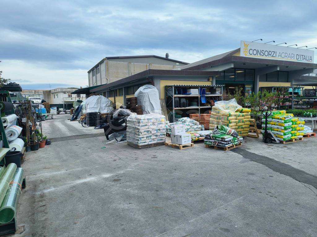 immagine annuncio 1 di 7