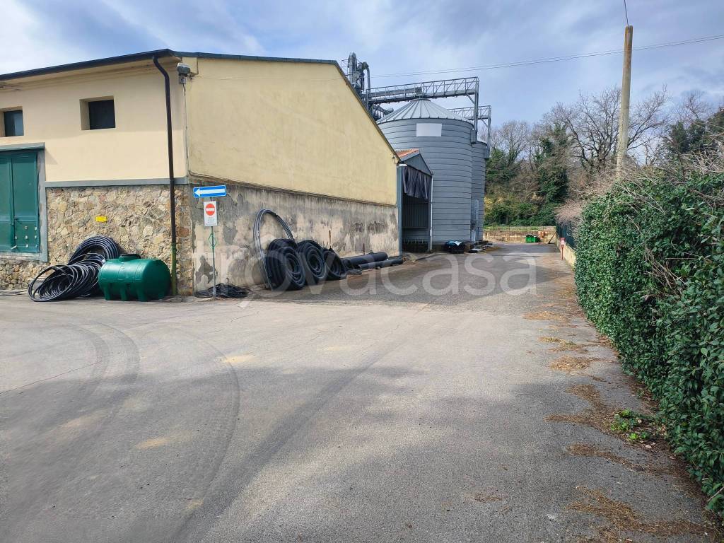 immagine annuncio 1 di 8