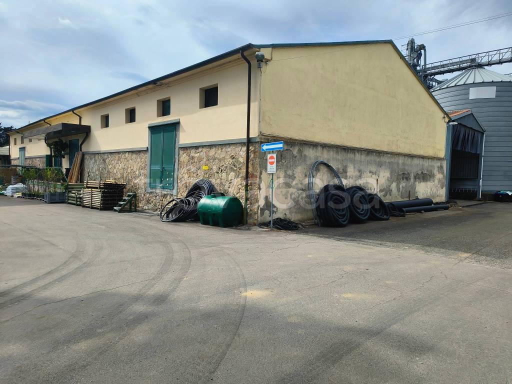 immagine annuncio 2 di 8