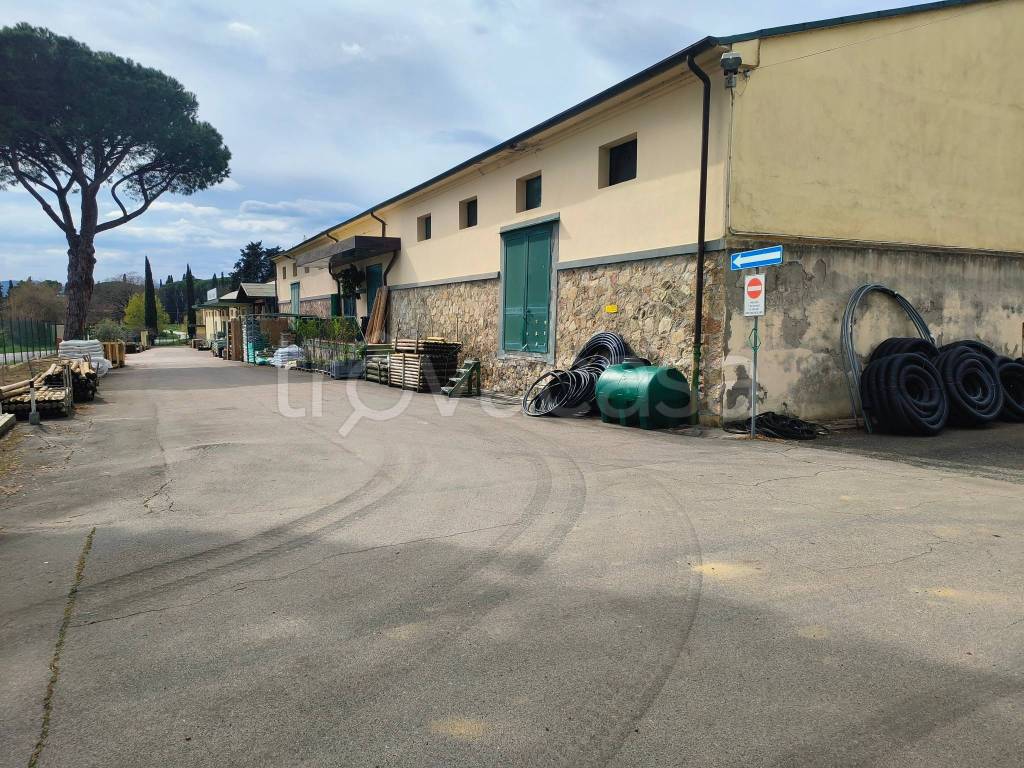 immagine annuncio 3 di 8