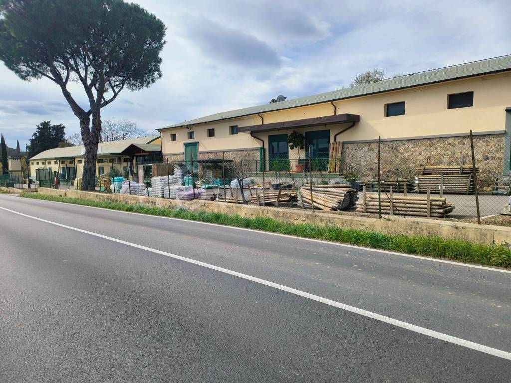 immagine annuncio 4 di 8