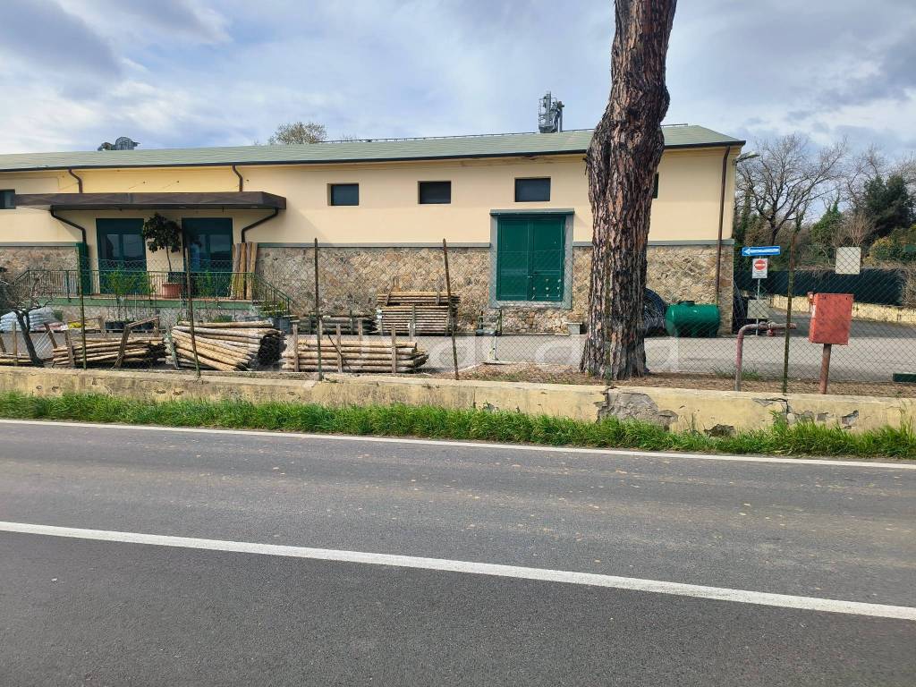 immagine annuncio 5 di 8