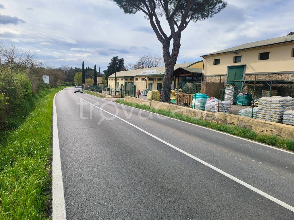 immagine annuncio 6 di 8