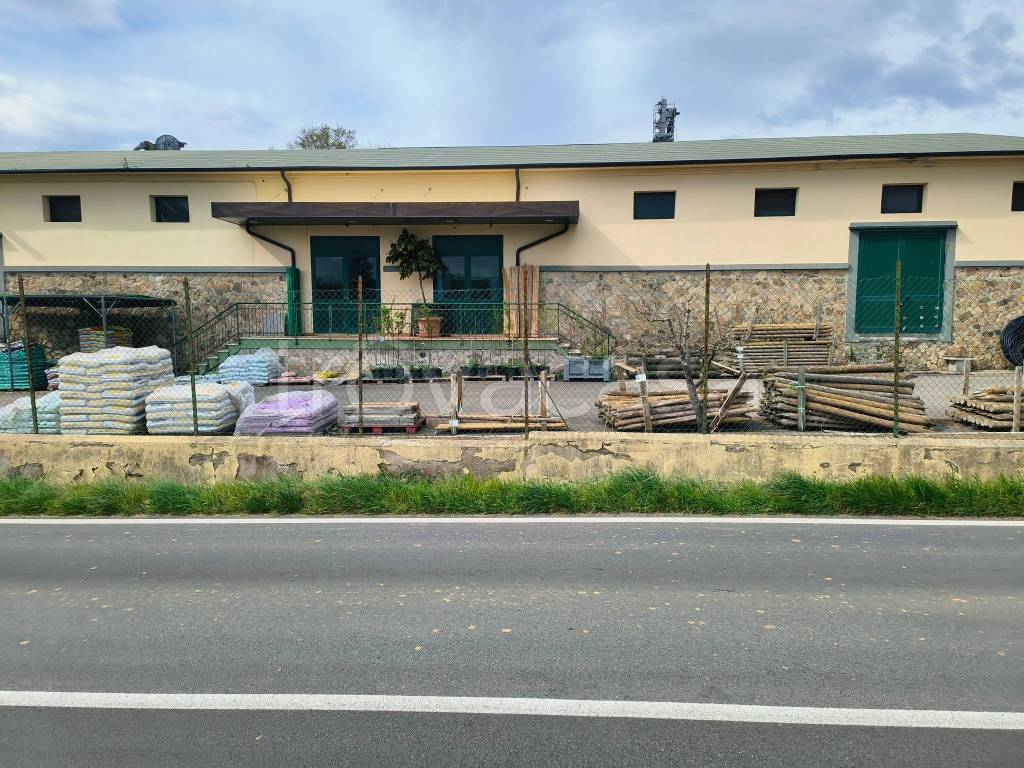 immagine annuncio 7 di 8