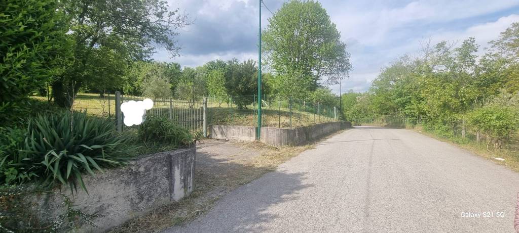 immagine annuncio 2 di 12