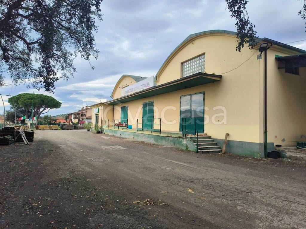immagine annuncio 4 di 13