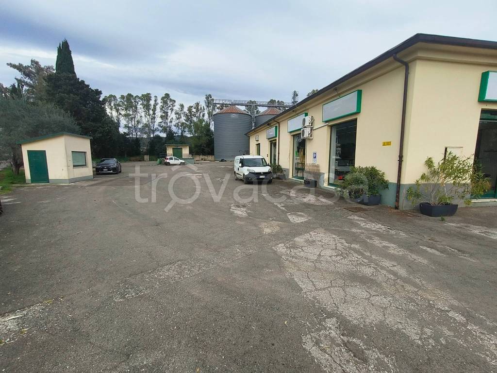 immagine annuncio 8 di 13