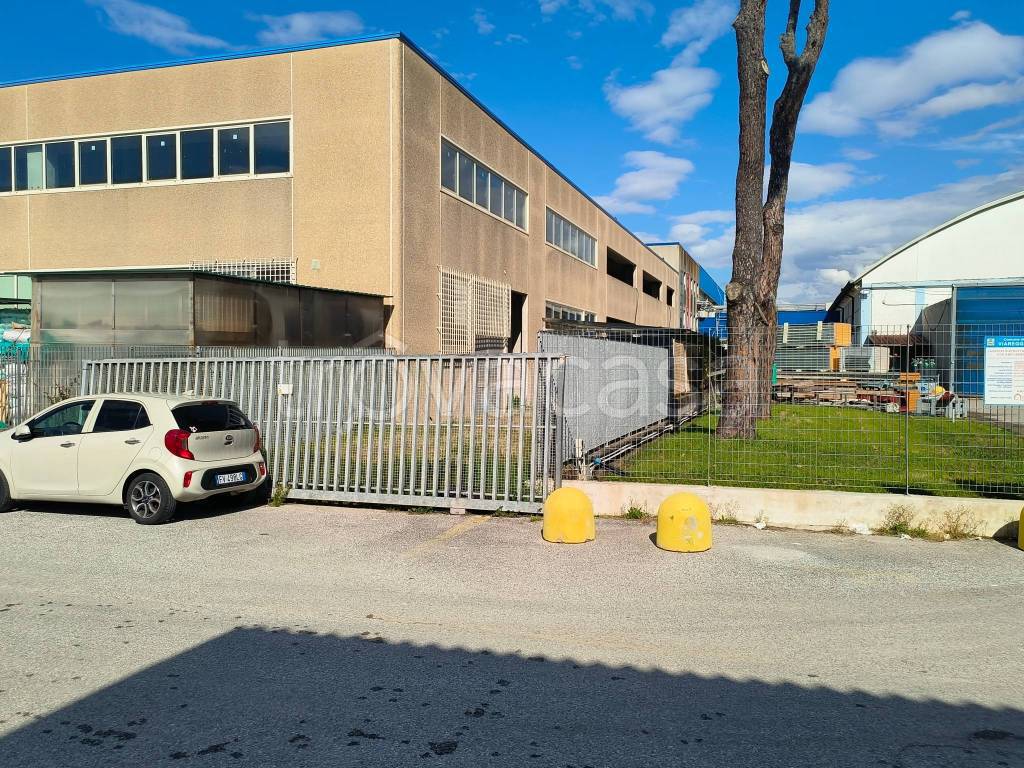 immagine annuncio 9 di 11