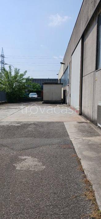 immagine annuncio 10 di 15