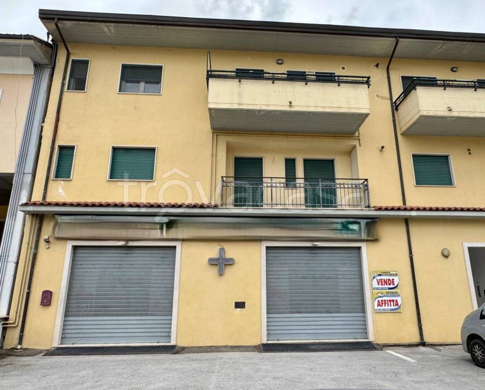 immagine annuncio 11 di 14