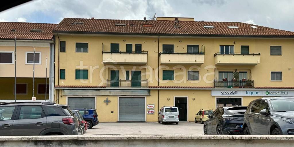 immagine annuncio 1 di 14